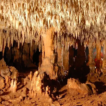 Il Rustico Di Gio Appartement *